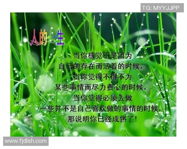 足球员智慧与激情的结晶经典语录带你领略足球的魅力与人生哲理